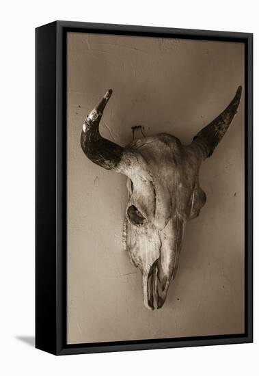 Steer Skull-Kathy Mahan-Framed Stretched Canvas