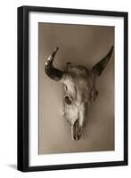 Steer Skull-Kathy Mahan-Framed Premium Photographic Print