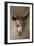 Steer Skull-Kathy Mahan-Framed Photographic Print