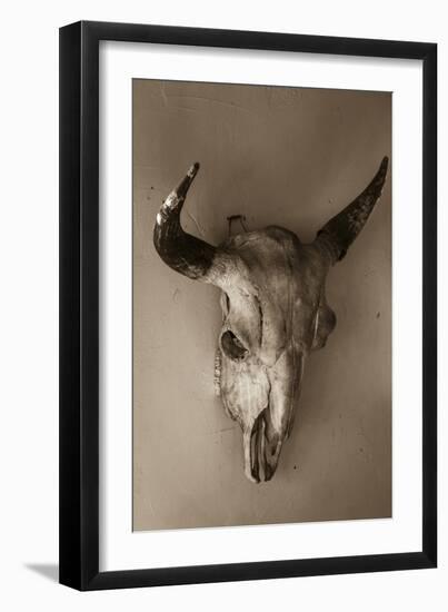 Steer Skull-Kathy Mahan-Framed Photographic Print