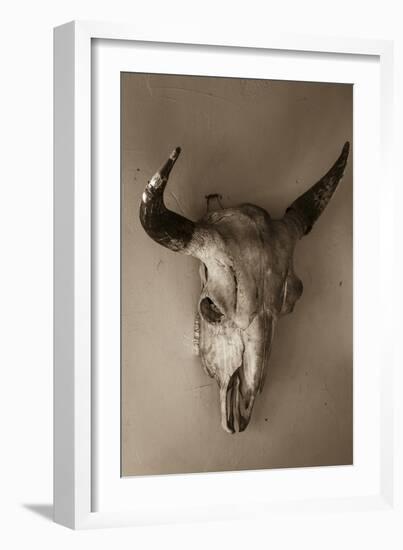 Steer Skull-Kathy Mahan-Framed Photographic Print