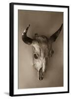 Steer Skull-Kathy Mahan-Framed Photographic Print