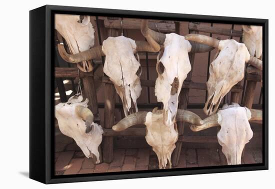 Steer Skulls for Sale, Santa Fe, New Mexico, United States of America, North America-Wendy Connett-Framed Stretched Canvas