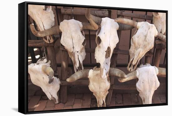 Steer Skulls for Sale, Santa Fe, New Mexico, United States of America, North America-Wendy Connett-Framed Stretched Canvas