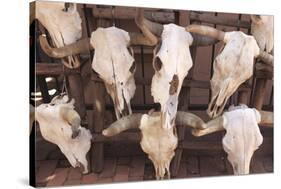 Steer Skulls for Sale, Santa Fe, New Mexico, United States of America, North America-Wendy Connett-Stretched Canvas