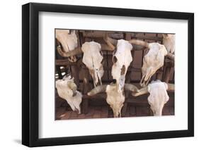Steer Skulls for Sale, Santa Fe, New Mexico, United States of America, North America-Wendy Connett-Framed Photographic Print