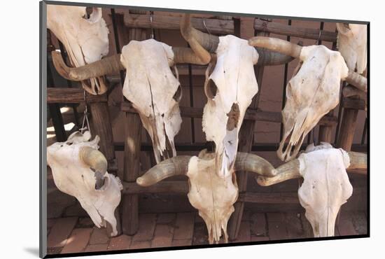 Steer Skulls for Sale, Santa Fe, New Mexico, United States of America, North America-Wendy Connett-Mounted Photographic Print