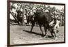 Steer Wrestling-null-Framed Art Print