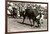 Steer Wrestling-null-Framed Art Print