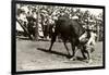 Steer Wrestling-null-Framed Art Print