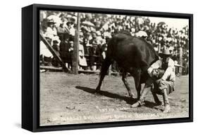 Steer Wrestling-null-Framed Stretched Canvas