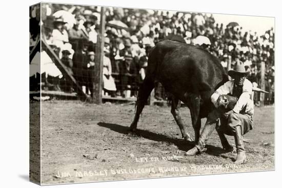 Steer Wrestling-null-Stretched Canvas