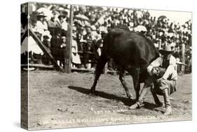 Steer Wrestling-null-Stretched Canvas