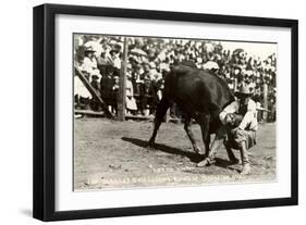 Steer Wrestling-null-Framed Art Print