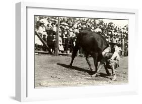 Steer Wrestling-null-Framed Art Print