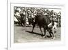 Steer Wrestling-null-Framed Art Print