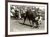 Steer Wrestling-null-Framed Art Print