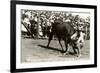 Steer Wrestling-null-Framed Art Print