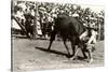 Steer Wrestling-null-Stretched Canvas