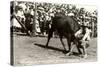 Steer Wrestling-null-Stretched Canvas