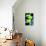 Steez Chin - Green Art Poster Print-null-Poster displayed on a wall