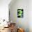 Steez Chin - Green Art Poster Print-null-Mounted Poster displayed on a wall