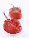 Two Baked Peppers in Small Dishes-Stefan Braun-Photographic Print