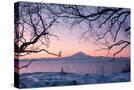 Stretched Canvas