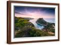Brown Frame
