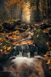 Autum Stream-Stefan Hefele-Giclee Print