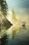 Dreamy Autumn-Stefan Hefele-Giclee Print