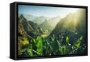 Canvas Black