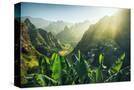 Stretched Canvas