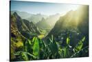 Stretched Canvas
