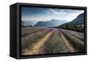 Canvas Black