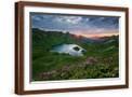 Brown Frame