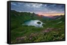 Canvas Black