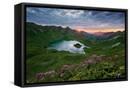 Canvas Black