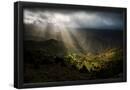 Essential Black