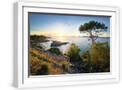 White Frame