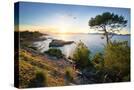 Stretched Canvas