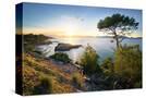 Stretched Canvas
