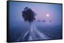 Canvas Black