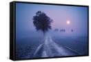 Canvas Black