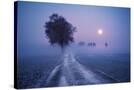 Stretched Canvas
