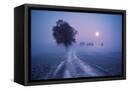 Canvas Black