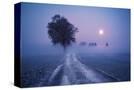 Stretched Canvas