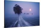Stretched Canvas