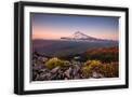 Black Frame