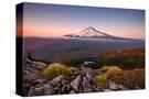 Stretched Canvas
